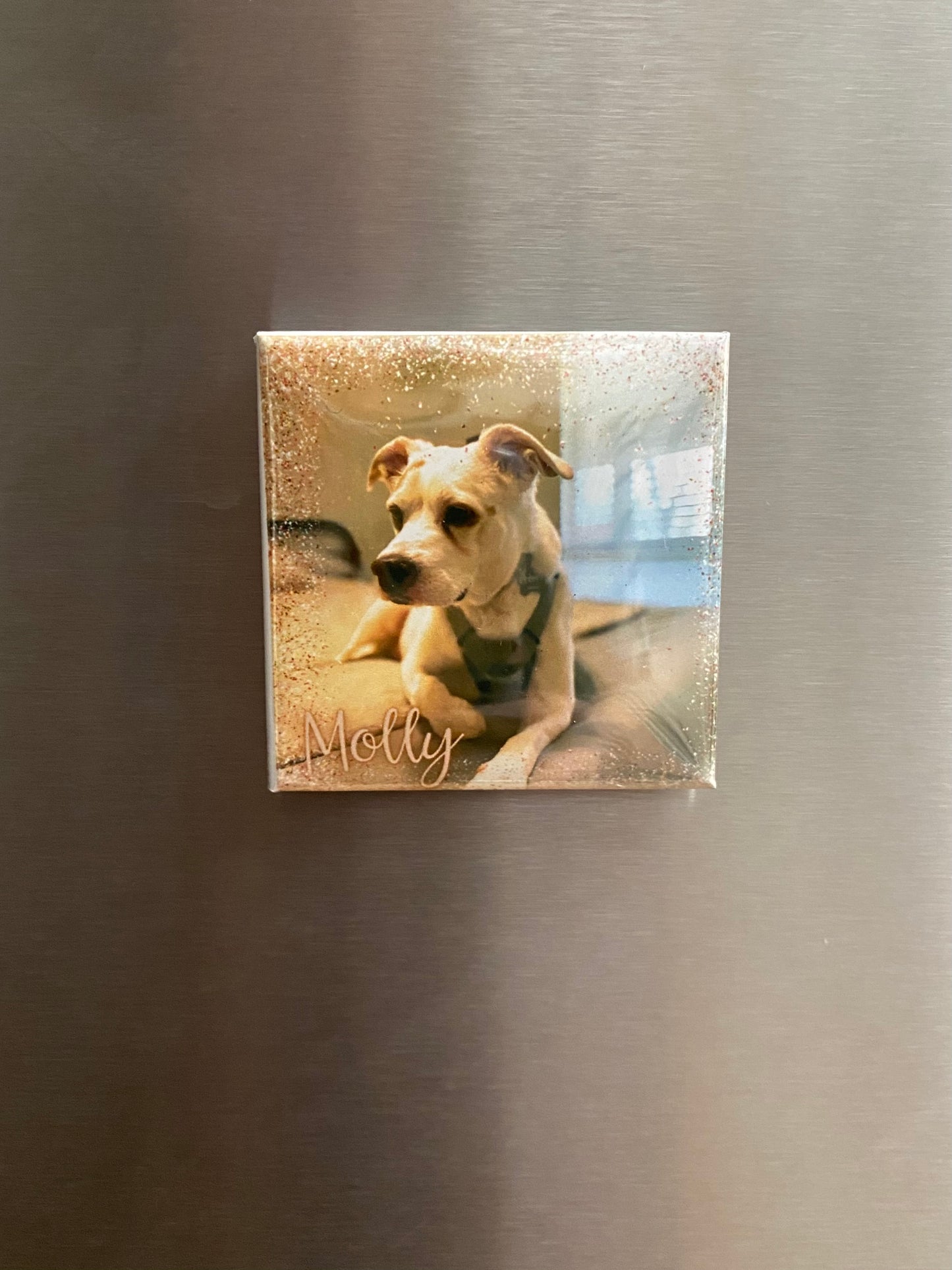 Custom Photo Magnets - Set of 6 - Memory Lane Magnets