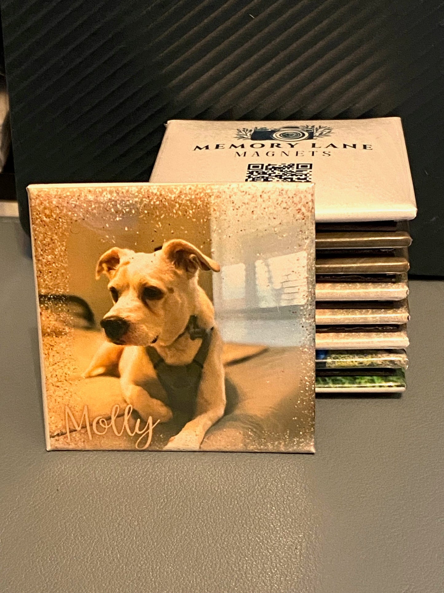 Custom Photo Magnets - Set of 6 - Memory Lane Magnets